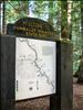 Redwood Forrest - CA